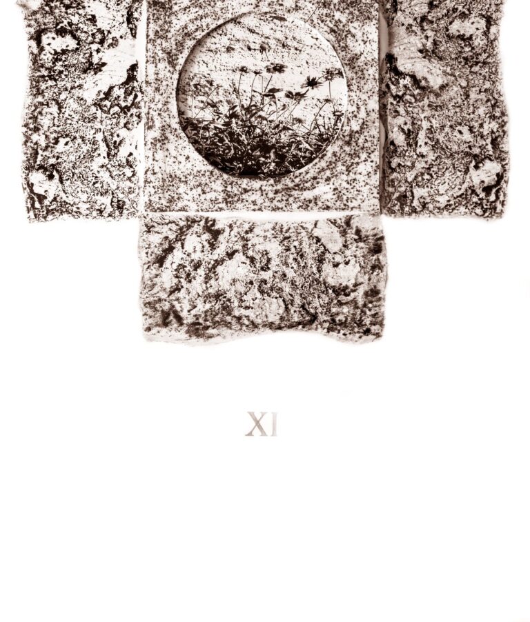 HERBARIUM SACRUM