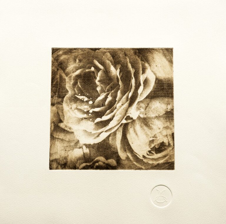 ROSAS